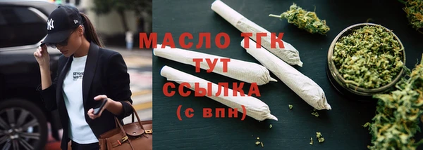 гидра Арсеньев