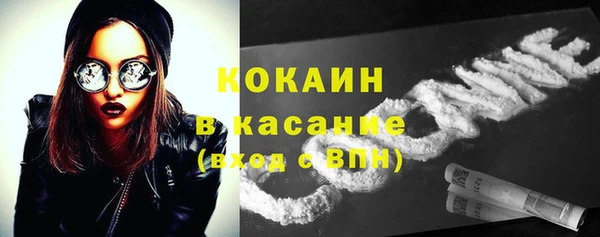 гидра Арсеньев