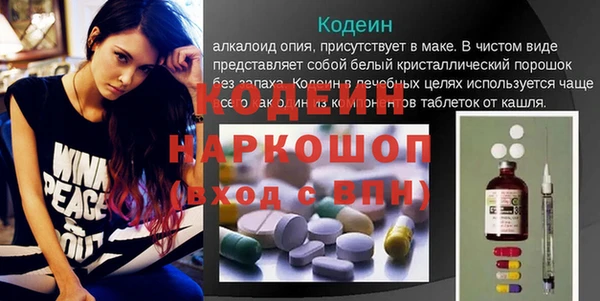 гидра Арсеньев