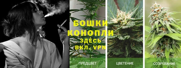 ECSTASY Аркадак